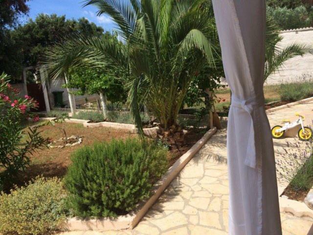 Apartment Marina سيلبا المظهر الخارجي الصورة